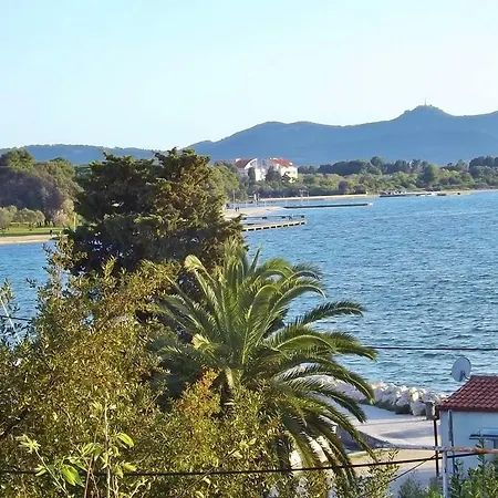 Markov Zadar