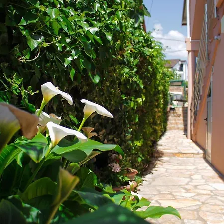 Markov Διαμέρισμα