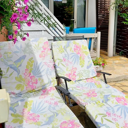 Διαμέρισμα Markov *