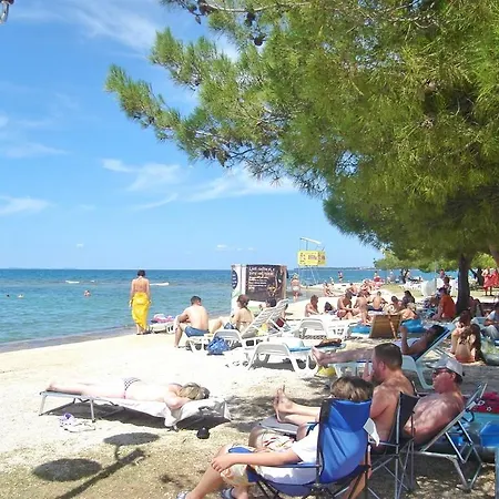 Markov Διαμέρισμα *